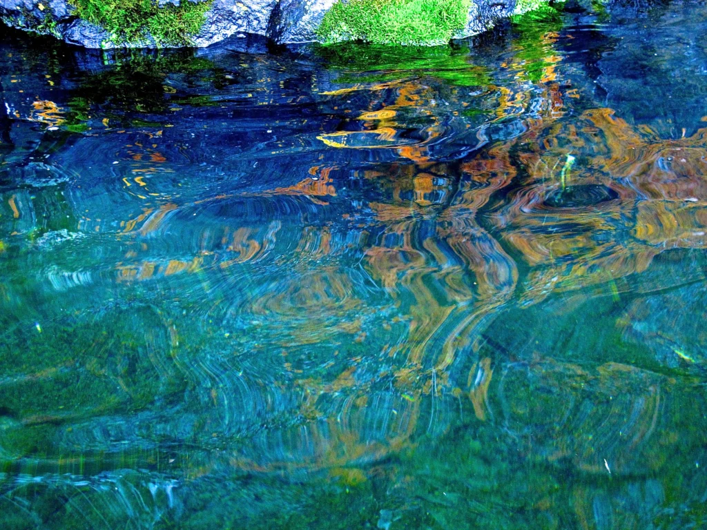 Photograph, Fall, Lake Superior north shore